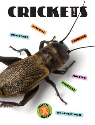 Crickets by Gish, Ashley