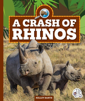 A Crash of Rhinos by Barth, Kelley