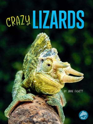 Crazy Lizards by Fickett, Jamie