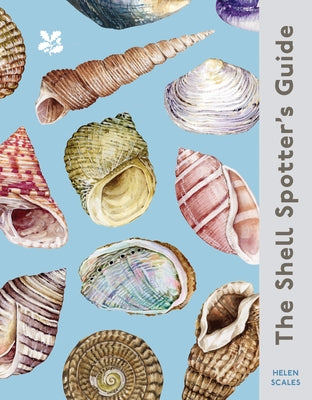 The Shell-Spotter's Guide by Scales, Helen