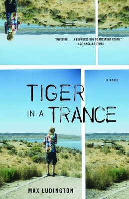 Tiger in a Trance by Ludington, Max