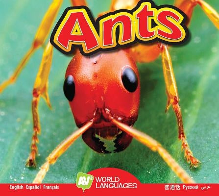 Ants by Carr, Aaron