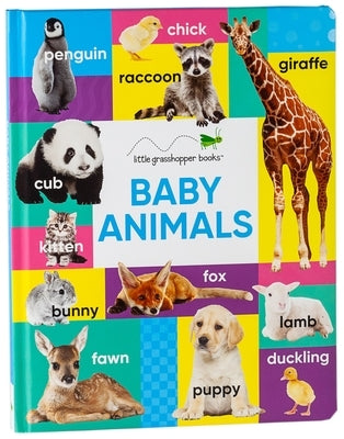 Baby Animals (Large Padded Board Book) by Little Grasshopper Books