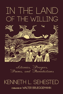 In the Land of the Willing by Sehested, Kenneth L.