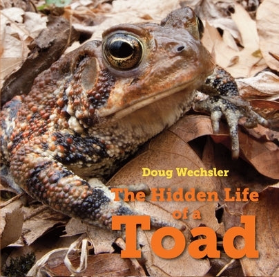 The Hidden Life of a Toad by Wechsler, Doug