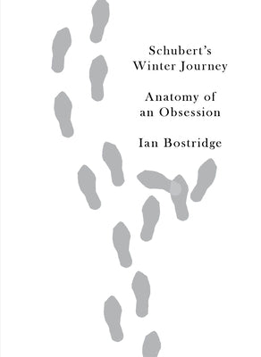 Schubert's Winter Journey: Anatomy of an Obsession by Bostridge, Ian