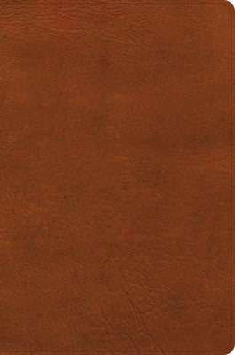CSB Giant Print Single-Column Bible, Burnt Sienna Leathertouch by Csb Bibles by Holman
