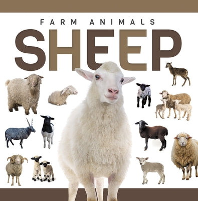 Sheep by Nodes, Eliza