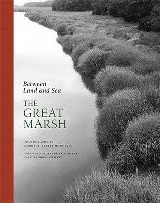 Between Land and Sea: The Great Marsh by Stewart, Doug