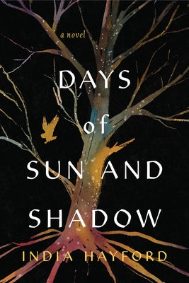 Days of Sun and Shadow by Hayford, India