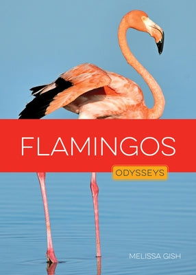 Flamingos by Gish, Melissa