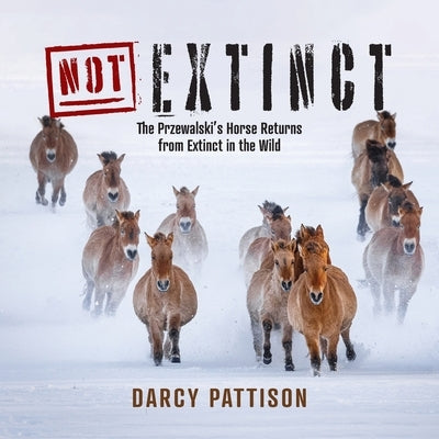 NOT Extinct: The Przewalski's Horse Returns from Extinct in the Wild by Pattison, Darcy