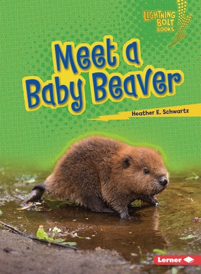 Meet a Baby Beaver by Schwartz, Heather E.