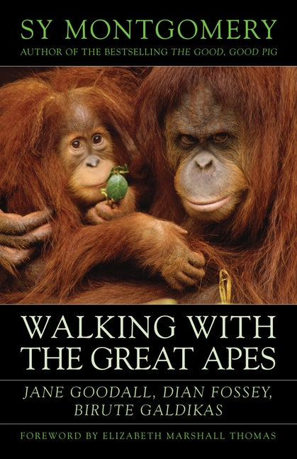 Walking with the Great Apes: Jane Goodall, Dian Fossey, Biruté Galdikas by Montgomery, Sy