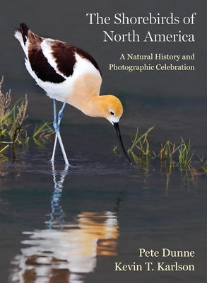 The Shorebirds of North America: A Natural History and Photographic Celebration by Dunne, Pete