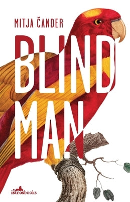Blind Man by Čander, Mitja