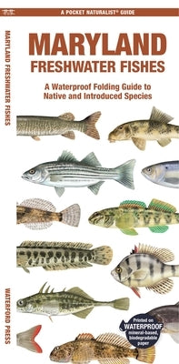 Maryland Freshwater Fishes: A Waterproof Folding Guide to Native and Introduced Species by Matthew Morris, Matthew Morris
