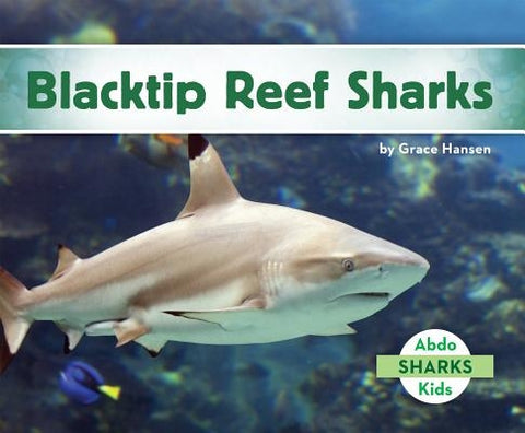 Blacktip Reef Sharks by Hansen, Grace