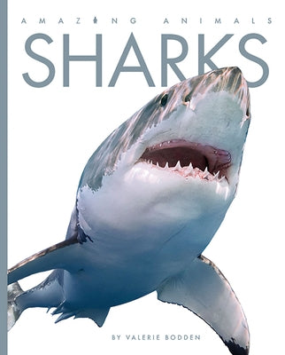 Sharks by Bodden, Valerie