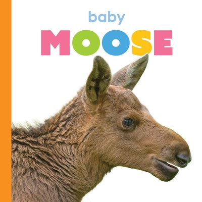 Baby Moose by Thompson, Kim
