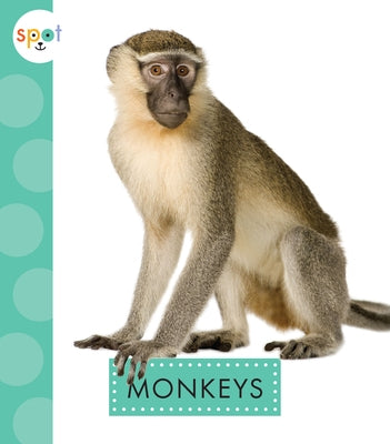 Monkeys by Thielges, Alissa