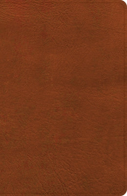 CSB Large Print Personal Size Reference Bible, Digital Study Edition, Burnt Sienna Leathertouch, Indexed by Csb Bibles by Holman