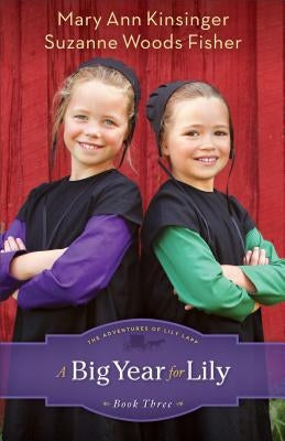 Big Year for Lily by Kinsinger, Mary Ann