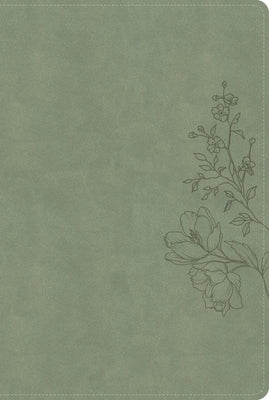 CSB Large Print Thinline Bible, Digital Study Edition, Sage Suedesoft Leathertouch by Csb Bibles by Holman