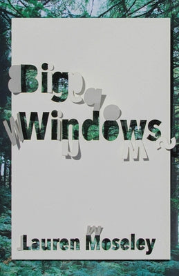 Big Windows by Moseley, Lauren