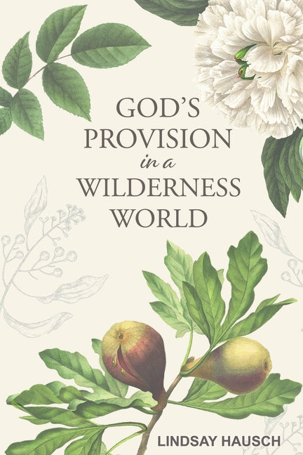 God's Provision in a Wilderness World by Hausch, Lindsay