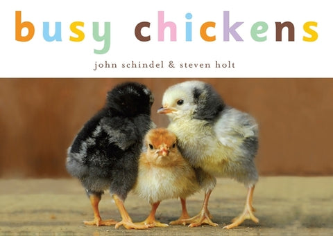 Busy Chickens by Schindel, John