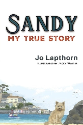 Sandy by Lapthorn, Jo