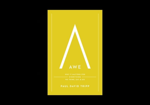 Awe: Why It Matters for Everything We Think, Say, and Do (with Study Questions) by Tripp, Paul David