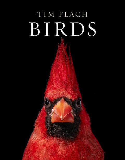 Birds: Photographs by Flach, Tim