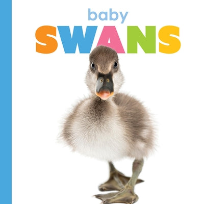 Baby Swans by Greve, Meg