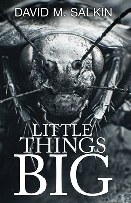 Little Things Big by Salkin, David M.