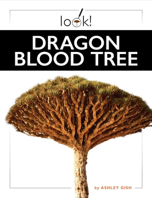 Dragon Blood Tree by Gish, Ashley