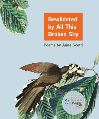 Bewildered by All This Broken Sky by Scotti, Anna