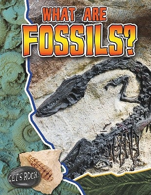 What Are Fossils? by Hyde, Natalie