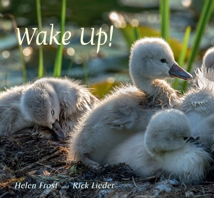 Wake Up! by Frost, Helen