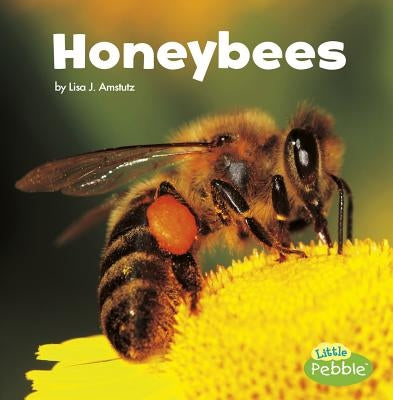 Honeybees by Amstutz, Lisa J.