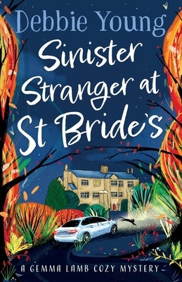 Sinister Stranger at St Brides by Young, Debbie