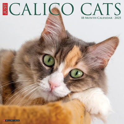 Calico Cats 2026 12 X 12 Wall Calendar by Willow Creek Press