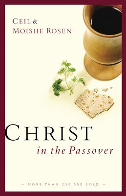 Christ in the Passover by Rosen, Ceil