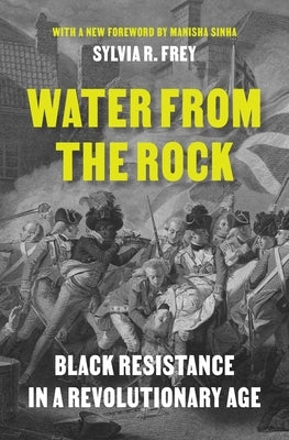 Water from the Rock: Black Resistance in a Revolutionary Age by Frey, Sylvia R.