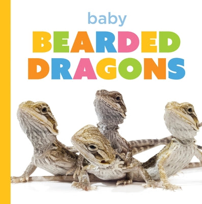 Baby Bearded Dragons by Murray, Laura K.