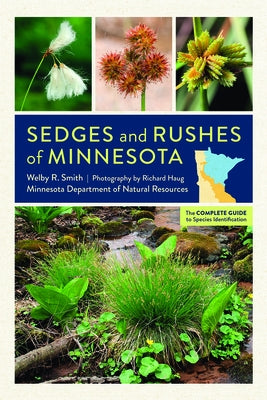 Sedges and Rushes of Minnesota: The Complete Guide to Species Identification by Smith, Welby R.
