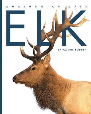 Elk by Bodden, Valerie