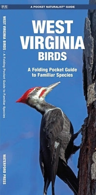 West Virginia Birds: An Introduction to Familiar Species by Kavanagh, James