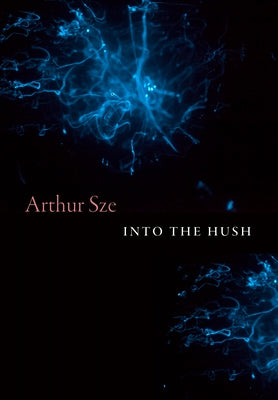 Into the Hush by Sze, Arthur